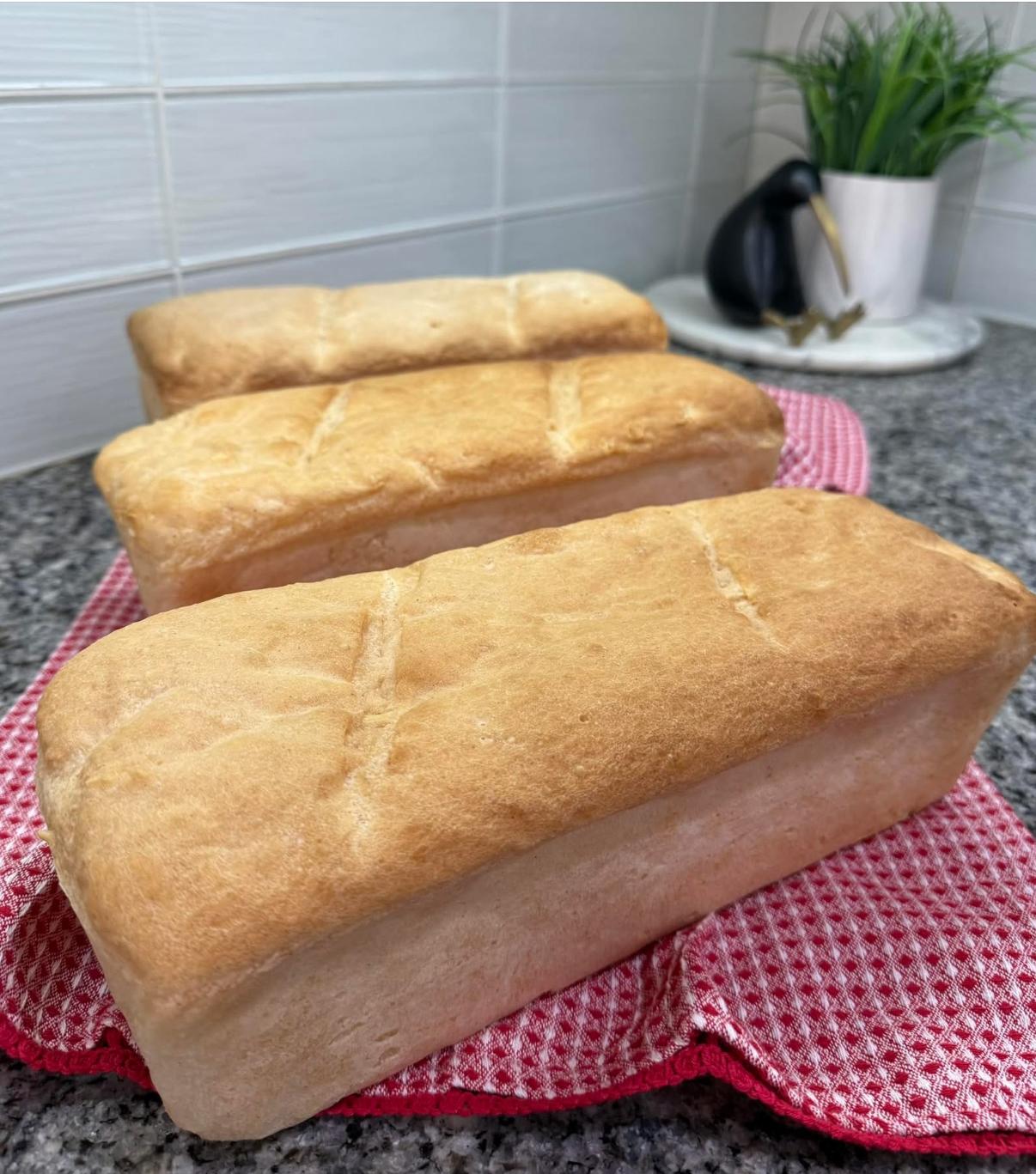 Fresh gluten-free loaves resting on a red towel